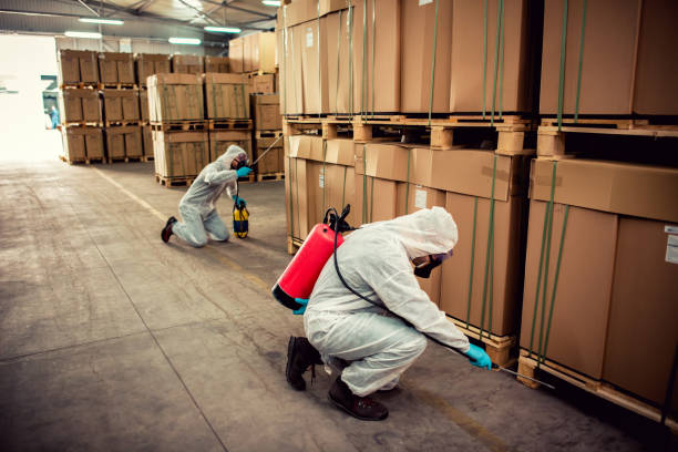 Best Cockroach Control Services  in Norwalk, CT