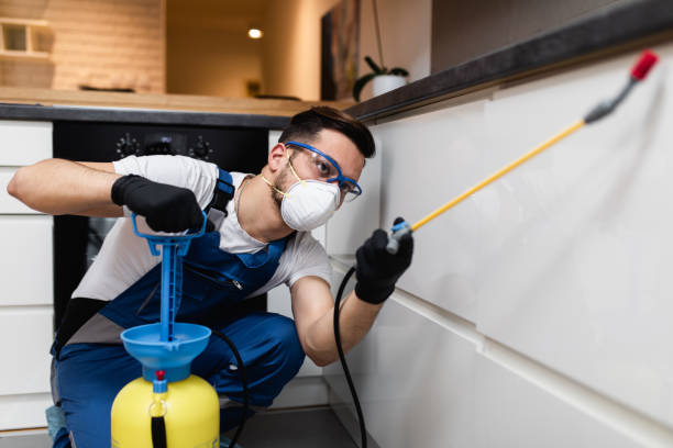 Best Exterminator Services  in Norwalk, CT