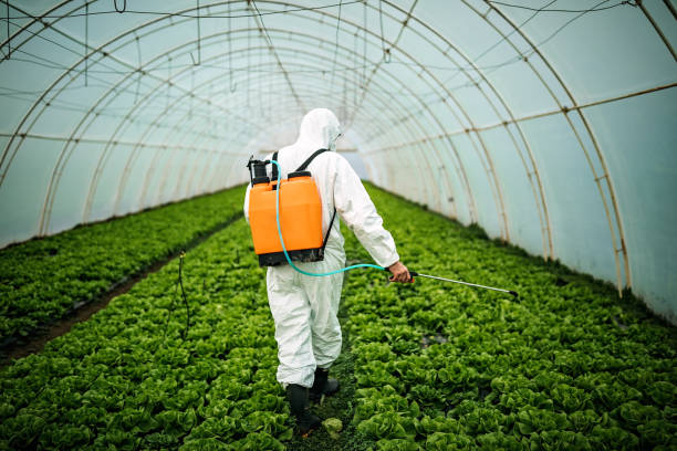 Reliable Norwalk, CT Pest Control Solutions