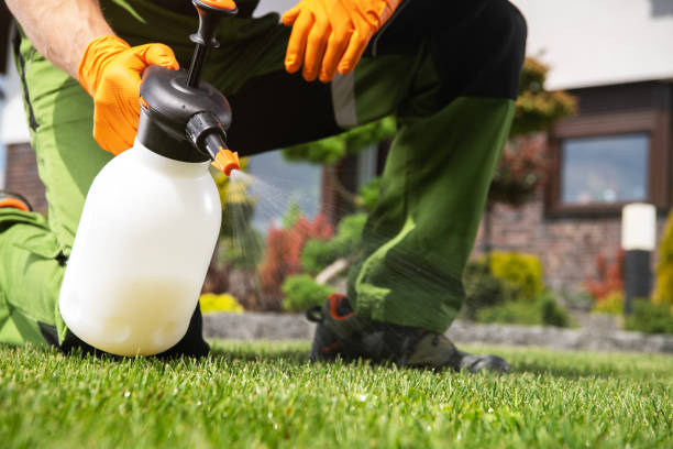  Norwalk, CT Pest Control Pros