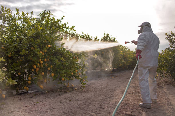Best Exterminator Services  in Norwalk, CT