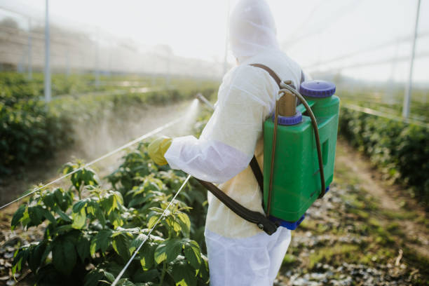 Best Commercial Pest Control Services  in Norwalk, CT